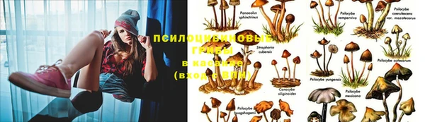 MDMA Premium VHQ Бронницы